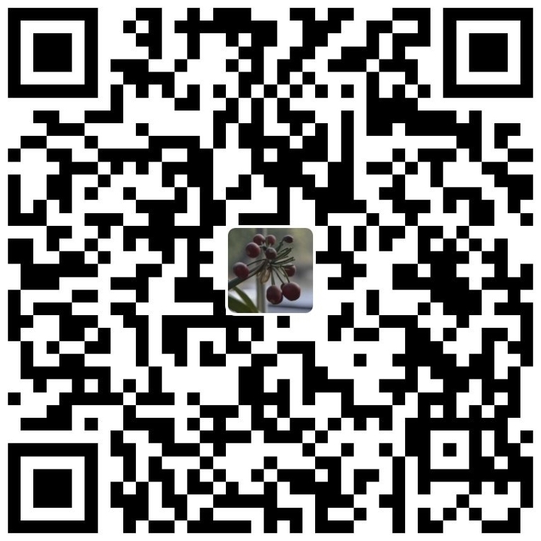 支付宝Alipay